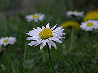 Náhled, 1/280 s,  f/4.70, F/17.10 mm, ISO: 50