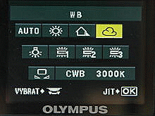 Volby na křížovém voliči (standard)