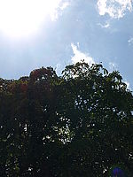 14-42; Náhled, 1/400 s,  f/11.00, F/42.00 mm, ISO: 100