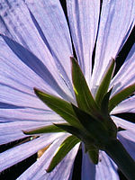 Výřez (R), 1/640 s,  f/5.60, F/150.00 mm, ISO: 100