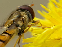 Výřez (R), 1/160 s,  f/5.60, F/150.00 mm, ISO: 100