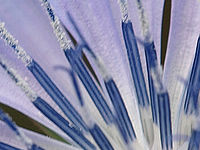 Výřez (R), 1/125 s,  f/8.00, F/150.00 mm, ISO: 100