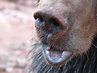 Výřez (R), 1/25 s,  f/2.80, F/223.00 mm, ISO: 100