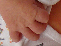 Výřez (R), 1/40 s,  f/2.70, F/5.20 mm, ISO: 320