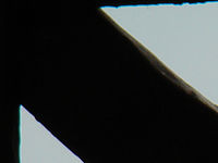 Výřez (R), 1/500 s,  f/5.60, F/78.00 mm, ISO: 80