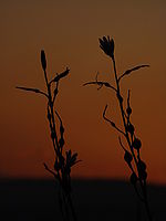 Náhled, 1/800 s,  f/5.60, F/40.00 mm, ISO: 80