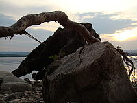 Náhled, 1/100 s,  f/5.60, F/7.60 mm, ISO: 100