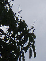 Výřez (R), 1/320 s,  f/7.10, F/20.10 mm, ISO: 80