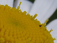 Výřez (R), 1/320 s,  f/4.00, F/9.13 mm, ISO: 80