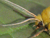 Výřez (R), 1/125 s,  f/4.00, F/9.13 mm, ISO: 500