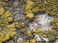 Výřez (R), 1/200 s,  f/4.00, F/9.13 mm, ISO: 80