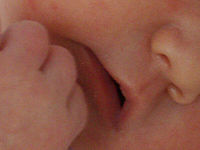 Výřez (R), 1/20 s,  f/3.50, F/6.70 mm, ISO: 200