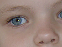 Výřez (R), 1/60 s,  f/4.30, F/15.52 mm, ISO: 100