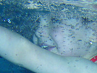 Výřez (R), 1/60 s,  f/3.50, F/6.70 mm, ISO: 100