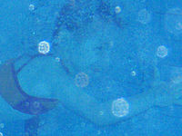 Výřez (R), 1/60 s,  f/3.50, F/6.70 mm, ISO: 250