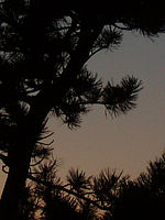 Výřez (R), 1/640 s,  f/5.00, F/6.70 mm, ISO: 80