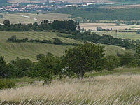 Výřez (R), 1/160 s,  f/9.00, F/6.00 mm, ISO: 80