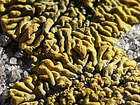 Výřez (R), 1/640 s,  f/2.80, F/6.00 mm, ISO: 80