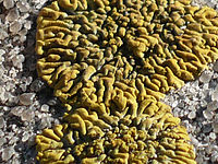 Výřez (R), 1/250 s,  f/5.60, F/21.40 mm, ISO: 80