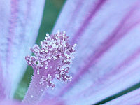 Výřez (R), 1/50 s,  f/2.80, F/6.00 mm, ISO: 100