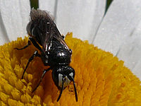 Výřez (R), 1/400 s,  f/9.00, F/6.00 mm, ISO: 80