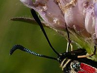 Výřez (R), 1/640 s,  f/5.60, F/21.40 mm, ISO: 80