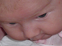 Výřez (R), 1/30 s,  f/4.20, F/13.40 mm, ISO: 100