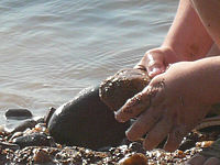 Výřez (R), 1/400 s,  f/5.60, F/21.40 mm, ISO: 80