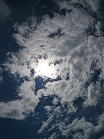 Náhled, 1/2000 s,  f/9.00, F/6.00 mm, ISO: 80