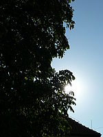 Náhled, 1/1000 s,  f/5.60, F/21.40 mm, ISO: 80