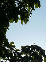 Náhled, 1/800 s,  f/5.60, F/21.40 mm, ISO: 80