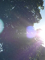 Náhled, 1/640 s,  f/5.60, F/21.40 mm, ISO: 80