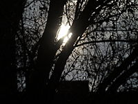 OLYMPUS E-410 protisvětlo