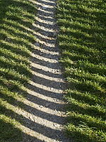 OLYMPUS E-410 kontrast