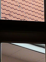 Výřez (R), 1/4 s,  f/3.20, 53.00 mm, ISO: 100