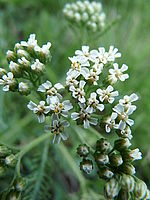 Náhled, 1/30 s, f/2.80, 28.00 mm, ISO: 400