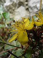 Náhled, 1/200 s, f/5.00, 28.00 mm, ISO: 100