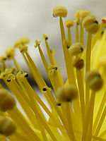 Výřez (R), 1/200 s,  f/5.00, 28.00 mm, ISO: 100