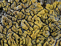 Výřez (R), 1/5 s,  f/2.80, 28.00 mm, ISO: 100