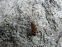 Náhled, 1/250 s, f/4.50, 28.00 mm, ISO: 100