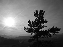 BW