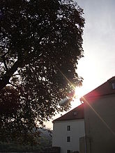 Náhled, 1/640 s, f/5.60, ISO: 80, Blesk: Ne, ohnisko:5.80 mm