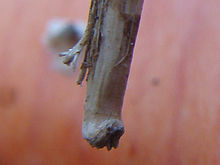 Výřez (R), 1/80 s,  f/3.50, ISO: 100, Blesk: Ne, ohnisko:5.80 mm