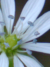 Výřez (R), 1/100 s,  f/4.40, ISO: 400, Blesk: Ne, ohnisko:24.33 mm