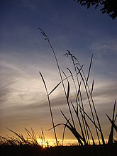 Náhled, 1/500 s, f/4.50, ISO: 100, Blesk: Ne, ohnisko:5.80 mm