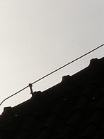 Výřez (R), 1/1000 s, f/7.30, 126.00 mm, ISO: 64, Blesk: Ne