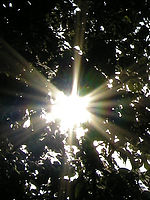 Výřez (R), 1/344 s, f/7.60, 36.00 mm, ISO: 64, Blesk: Ne