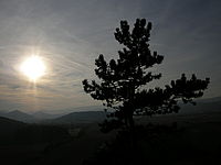 Náhled, 1/2000 s, f/7.60, 36.00 mm, ISO: 64, Blesk: Ne