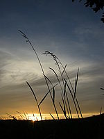 Náhled, 1/213 s, f/5.40, 36.00 mm, ISO: 64, Blesk: Ne