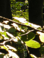 Výřez (R), 1/32 s, f/5.30, 126.00 mm, ISO: 64, Blesk: Ne